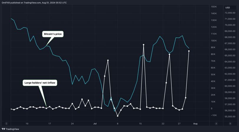 Large Bitcoin Holders Added $5.4B in BTC in July, Data Show
