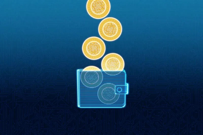 New to crypto? These 5 crypto wallets are known for security and safety