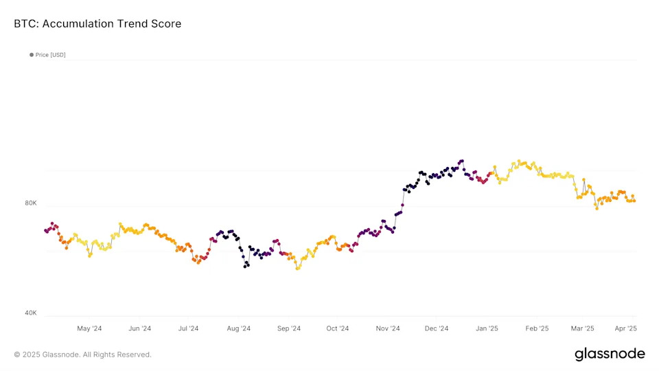 Whales Buy the Bitcoin Dip: First Meaningful Accumulation in 8 Months