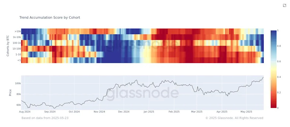 Bitcoin Enters Strongest Accumulation Phase Since January as BTC Price Passes $110K